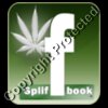 SpliffBook2